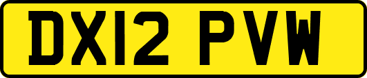 DX12PVW