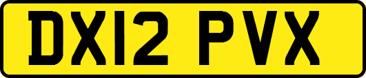 DX12PVX