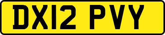 DX12PVY