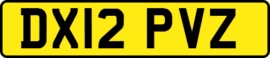 DX12PVZ