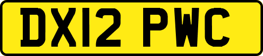 DX12PWC
