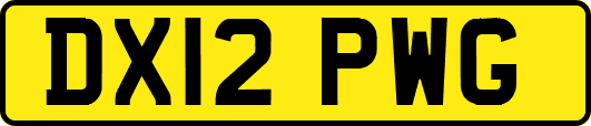 DX12PWG