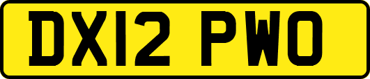 DX12PWO