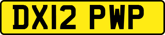 DX12PWP
