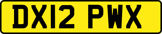 DX12PWX