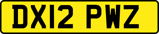 DX12PWZ