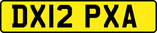 DX12PXA