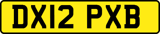 DX12PXB