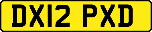 DX12PXD