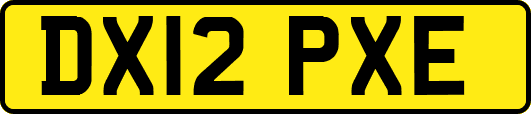 DX12PXE