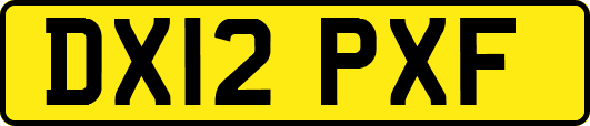 DX12PXF