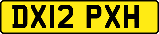 DX12PXH