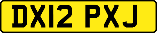 DX12PXJ