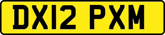 DX12PXM