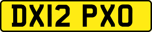 DX12PXO