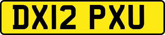 DX12PXU