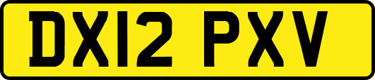 DX12PXV