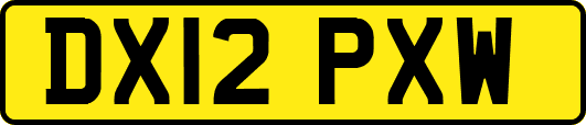 DX12PXW