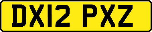 DX12PXZ