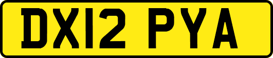 DX12PYA