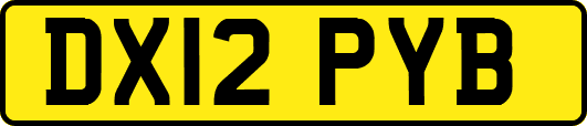 DX12PYB