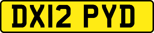 DX12PYD