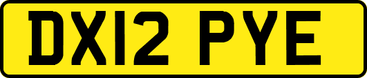 DX12PYE