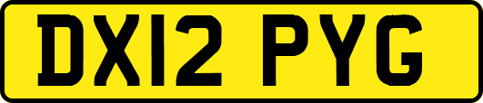 DX12PYG