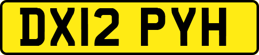 DX12PYH