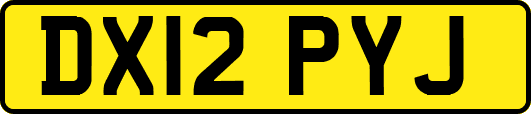 DX12PYJ