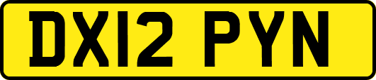 DX12PYN