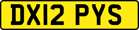 DX12PYS