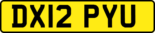 DX12PYU