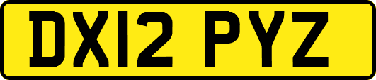 DX12PYZ