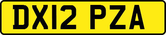 DX12PZA