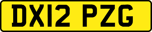 DX12PZG