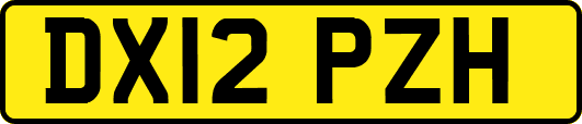 DX12PZH