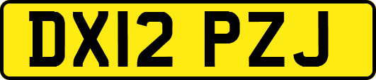 DX12PZJ