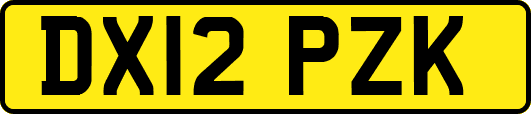 DX12PZK