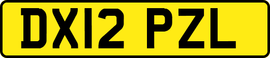 DX12PZL