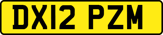 DX12PZM