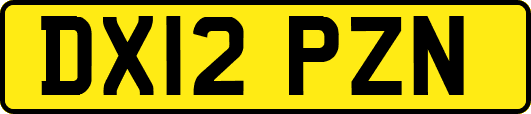 DX12PZN