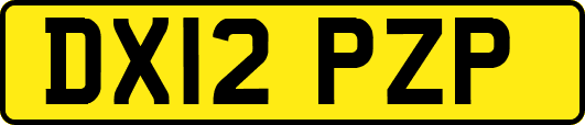 DX12PZP