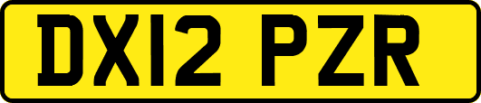 DX12PZR