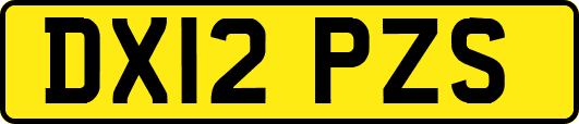 DX12PZS