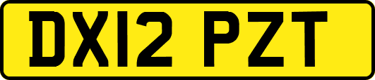 DX12PZT