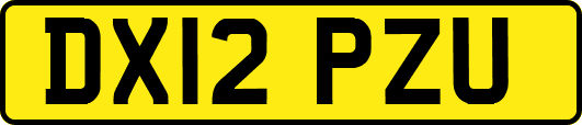DX12PZU