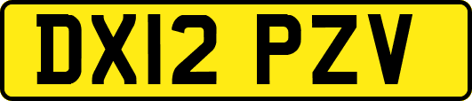 DX12PZV
