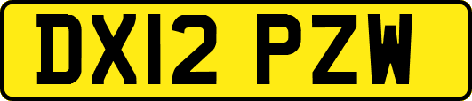 DX12PZW