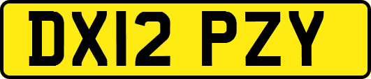 DX12PZY